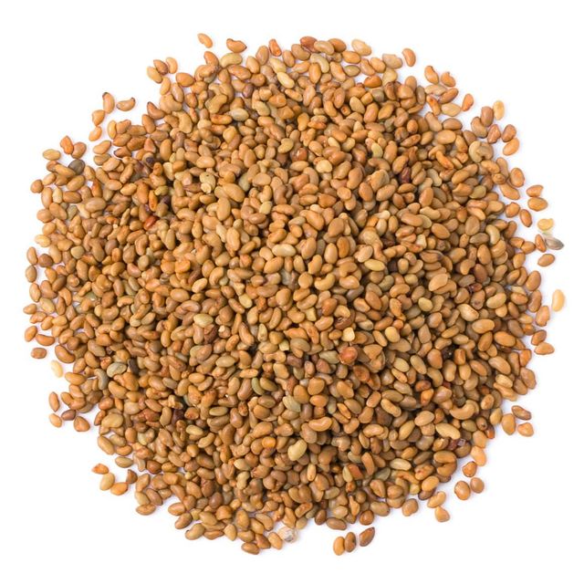 Alfalfa Seeds for Sprouting - Image 2