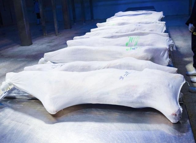 Company – photo 9 of 10, supplier detail gallery