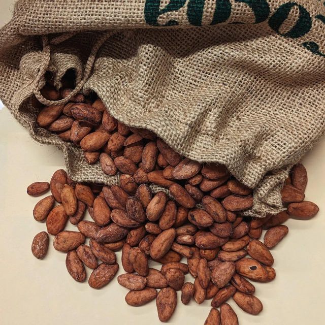 Raw Cocoa Bean With Authentic Origin Character And Carefully Handled Processing For Bulk Export Supply - Image 1