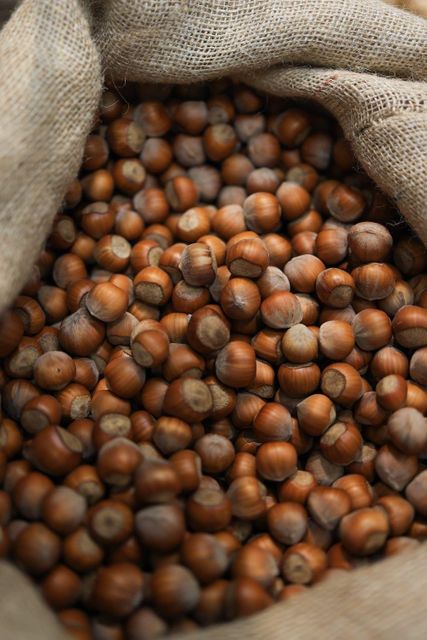 High Quality Hazelnuts Peeled Roasted Dry Hazelnuts Unshelled Bulk Packacing Hot Sale New Season - Image 3