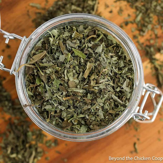 Basil - Image 2