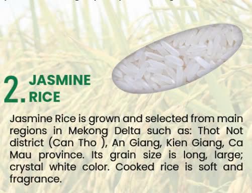 VIETNAM JASMINE RICE 5% BROKEN MAX (DT8) - Image 2