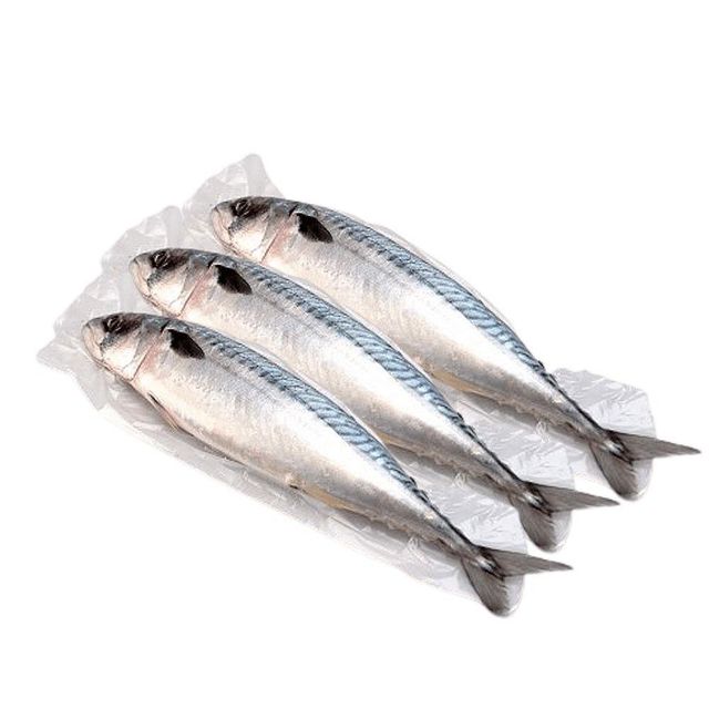 Atlantic Mackerel Frozen Seafood Healthy Nutritious Fish Perfect for Restaurants Supermarkets and Export - Image 4
