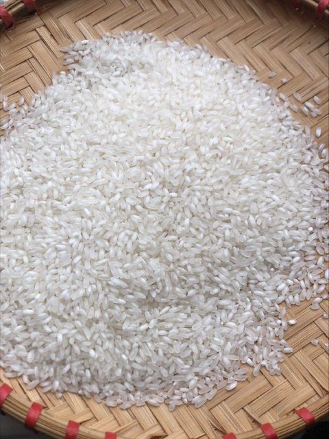 Premium Quality Japonica Rice Short Grain Round Soft Texture Camolino Calrose Rice Export Japan Sushi rice - Image 1