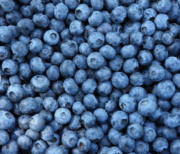 Fresh and frozen Strawberry, Blueberry, Raspberry, Black-berry. Wholesale Delicious Fresh Strawberry Fruit - Image 4