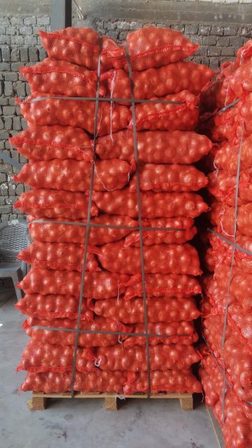 Onions - Image 3