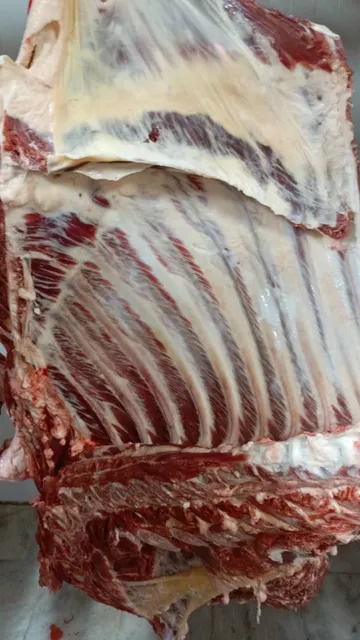 100%  Fresh Chilled Bull Beef - Image 6