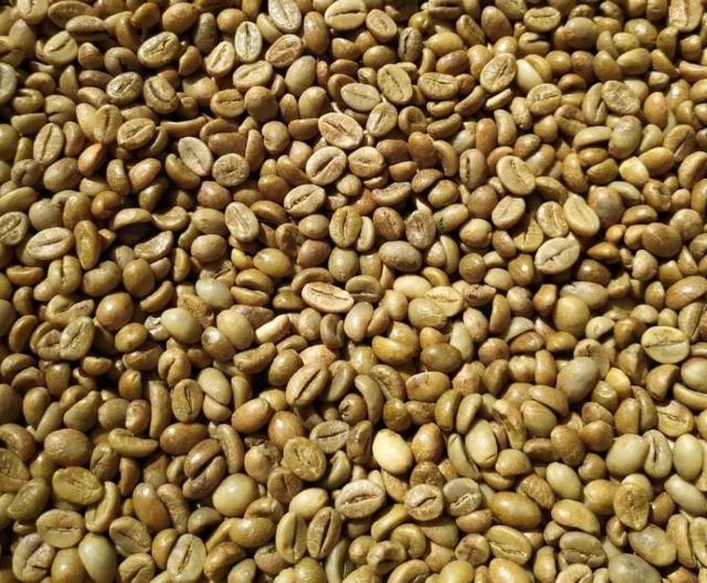 Global Agrinesia Abadi – Authentic Java Origin Green Coffee Beans Arabica & Robusta | Indonesian Terroir Series – product photo 5, product detail gallery