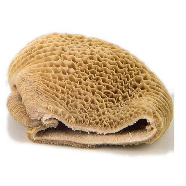 BUY HALAL TOP QUALITY FROZEN BEEF OMASUM | FROZEN BEEF TRIPE - Image 5
