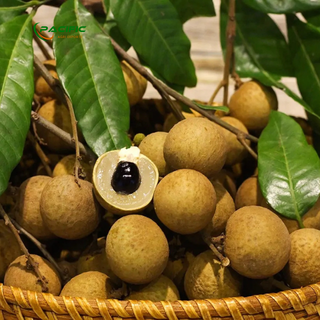 Longan Premium quality export Type Frozen & Fresh Place of Origin Vietnam Quality 90 - 120 pcs - Image 2