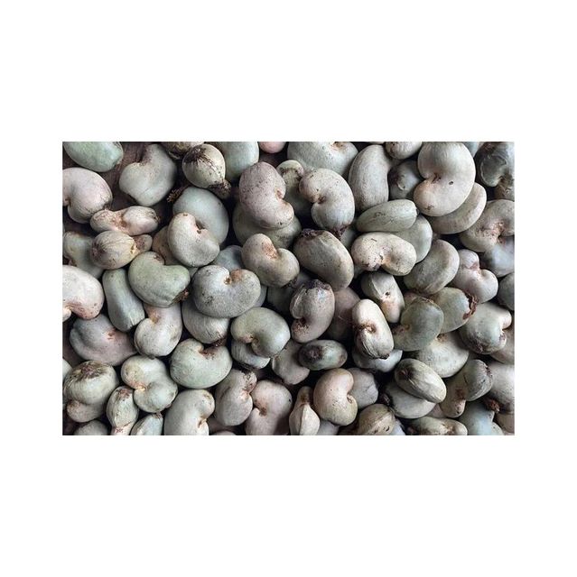 Raw Cashew Nuts offered at discount price for snack food and nut processing industries - Image 4