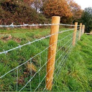 Hsj High Quality Roll Barbed Wire Razor Barbed Galvanized Wire for Farm Fence - Image 2