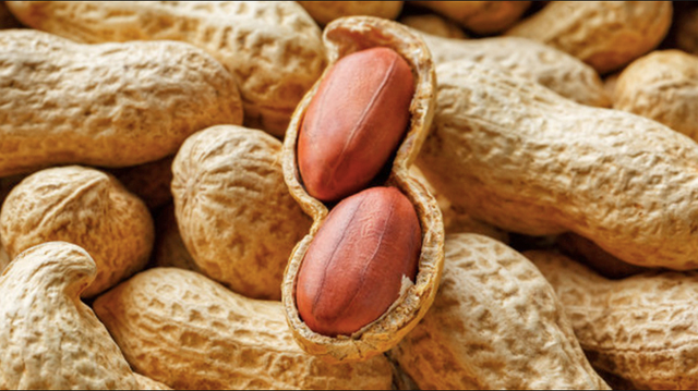 Organic Groundnut - Image 5