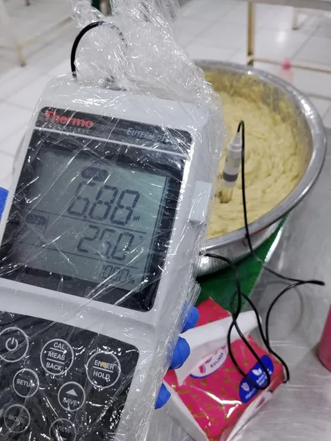 Frozen Durian Paste|Brix 29-33|pH6.50-7.00|100%pure durian|no additive|natural sweet and color - Image 4