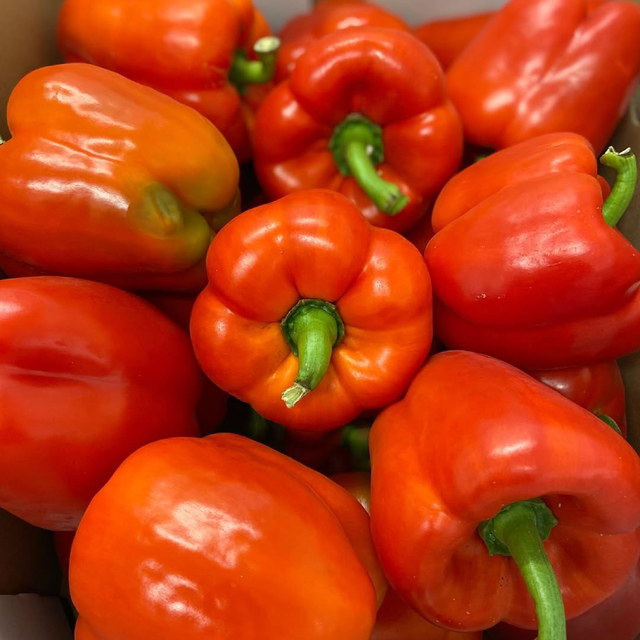 EXCELLENT SHELF LIFE CAPSICUMS PAPRIKA GREEN,YELLOW AND RED PAPRIKA 500g IDEAL FOR Salads,Pizzas and Fresh Food Preparation - Image 2