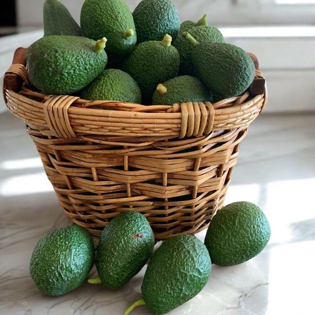 Fresh Avocado Premium Quality Ripe Green Fruit For Healthy Meals Natural Taste And Everyday Nutritious Food Supply - Image 4