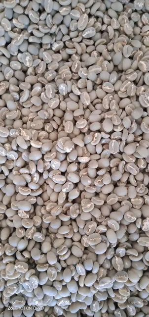 Wholesale and retail organic premium arabica coffee beans Type Washed Origin Tanzania Max. Moisture (%) >8% Species Coffee Arabica - Image 3