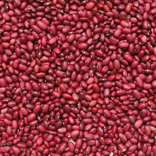 Wholesale Ethiopian High Quality Cream Beans Fresh Kidney Red and White Beans Common Cultivation Type - Image 5