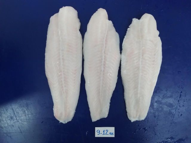 Frozen Pangasius Fillet 220-400 Size 9-12oz Net Weight - Image 2