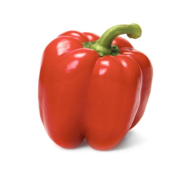 Bell Pepper (Red and Yellow) Type Red and Yellow Cultivation Type Green House - Image 2