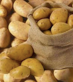 New Crop Potato Fresh Normal Potato Wholesale Fresh Potato.Customize Fresh Potato Chips Production Line - Image 3