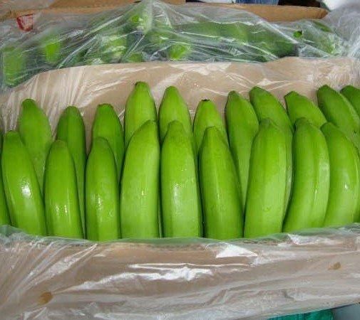 High quality bananas from Vietnam/fresh bananas/100% tax free – product photo 4, product detail gallery