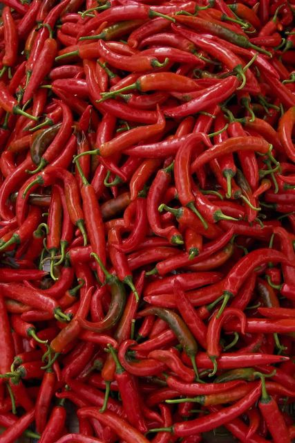 Frozen Red Chili Hot Chili Pepper With High Quality - Chili Pepper  - Image 1