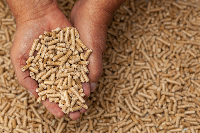 High Calorific Value Low Ash Biomass Wood Pellets (Stick Shape) ENplus Certification for Industrial - Image 3
