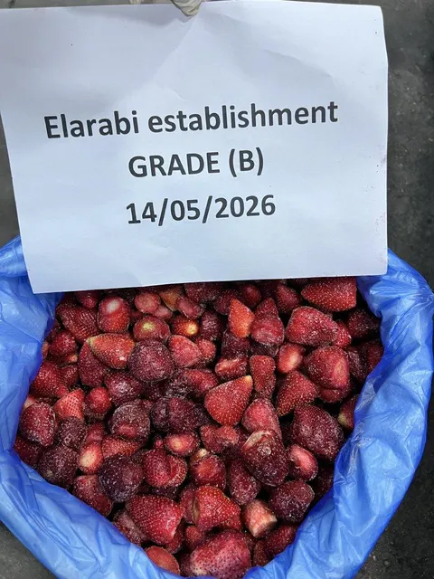 IQF Frozen Strawberry high FLAV WITHOUT SUGER GRADE (A - B - AB) – product photo 11, product detail gallery