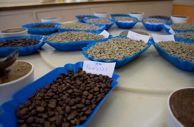 ARABICA COFFEE - Image 5
