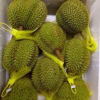 durian - Image 1