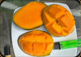 Dermayu Mango Grade A Regular Size - Image 7