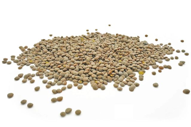 Natural Green Lentils Raw Whole Seeds Clean Fresh Premium Quality High Protein Perfect For Healthy Meals Cooking And Industrial Food Use Buy Today Fast Delivery Premium Quality Wholesale - Image 2