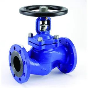 Cast Iron Flanged Type Globe Valve Ce Approval from China - Freshdi