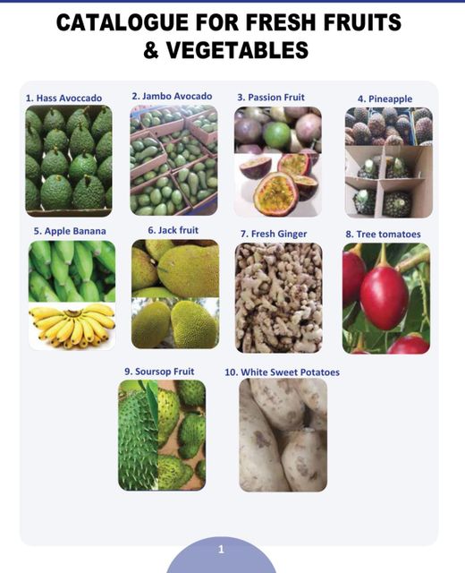 Vegetables - Image 1