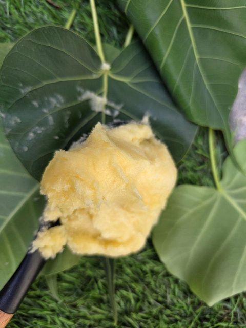 Shea butter from Cote D'Ivoire - Image 1