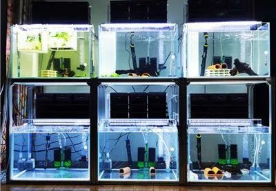 Industrial Aluminium Extrusions Profile Frame System for Fish Tank Rack - Image 2