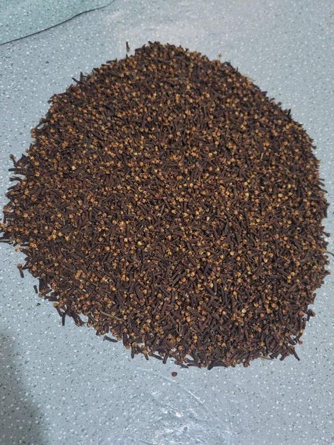 PURE CLOVES - Image 1