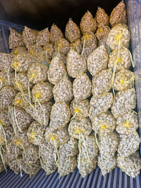 Fresh ginger 20kg net 21kg gross season 2026 size 100 up Form Whole Delivery Form Bag Freshness Level Fresh - Image 3