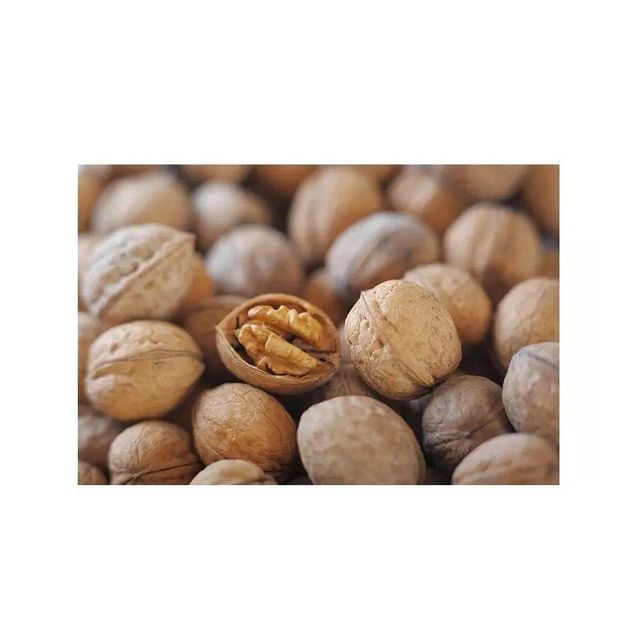 Wholesale walnuts bulk supply low price fresh and healthy dry fruits - Image 4