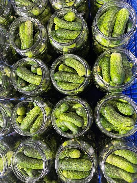 TOP QUALITY PICKLED CUCUMBER / PICKLED BABY CUCUMBER 3-6cm / CANNED PICKLE CUCUMBER JARS - Whatsapp 0084 989 322 607 - Image 3