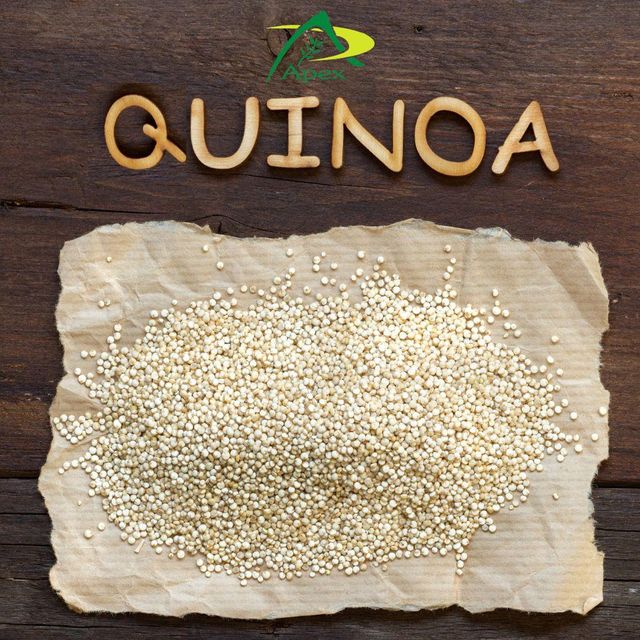 White Quinoa Seed , Quinoa Seed whole ,Quinoa Seeds, White Quinoa , Quinoa , White Quinoa Seed Bulk Supplier From India - Image 1