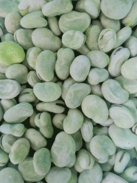 Wholesale IQF Frozen Peeled Broad Beans Grade A - Image 4
