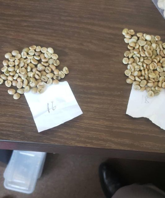 ROASTED COFFEE BEANS READY FOR EXPORT CONTACT US ON WHATSAPP +255787979235/ 255795279787 - Image 4