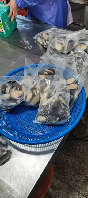 Good Quality Size 8-10CM Frozen Half Shell Mussel Style FROZEN Packaging Box Weight (kg) 1kg Brand Name Healsea Shelf Life 24 - Image 5