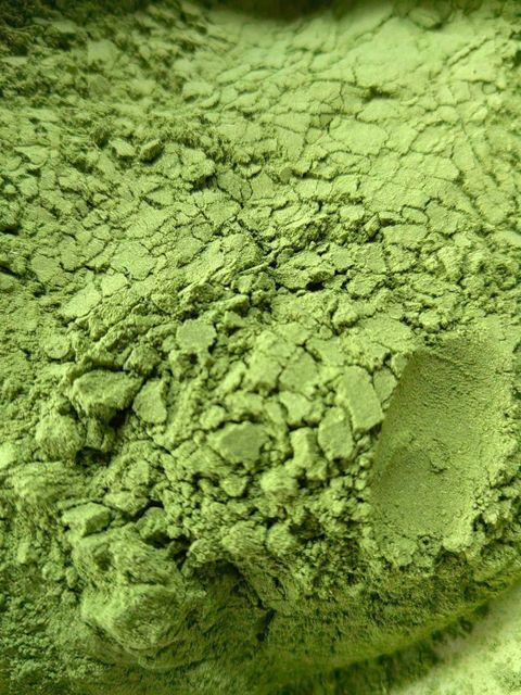 Moringa - Image 2