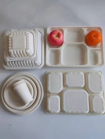 6 Compartments Compostable Disposable Cornstarch Tableware Lunch Takeout Box - Image 5