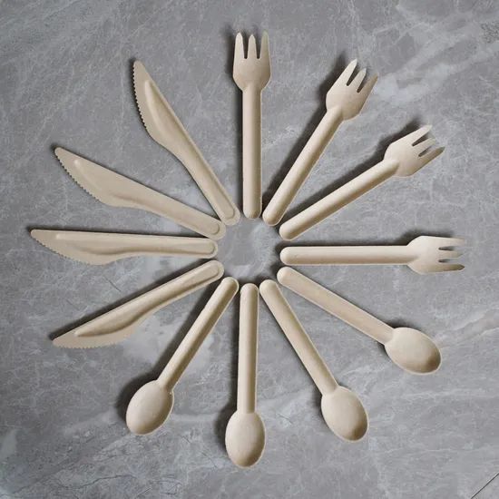 100% Compostable Biodegradable Disposable Tableware Bagasse Sugarcane Dinner Set - Image 5