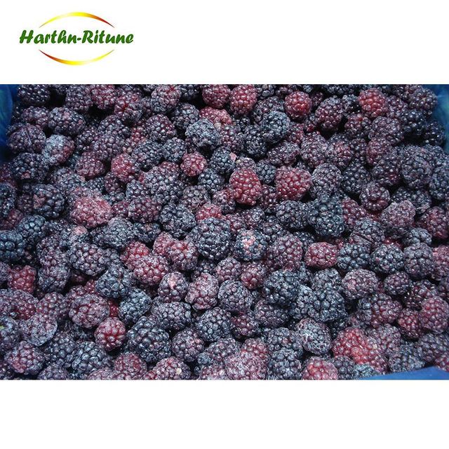 Good price Bulk IQF berries frozen blackberry fruits Content no Address no Style FROZEN Weight (kg) 10 Ingredients no Taste - Image 4