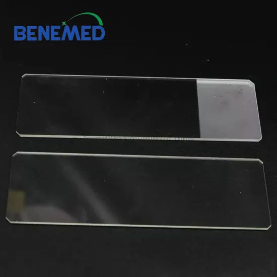 Microscope Slides (7105) - Image 2